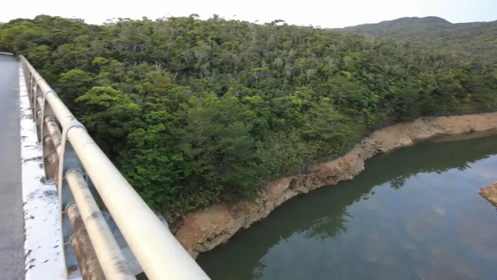 普久川の絶景