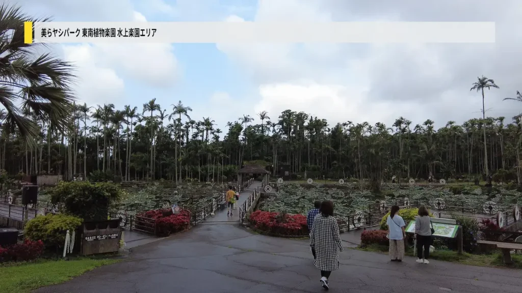 蓮の池とユスラヤシの森