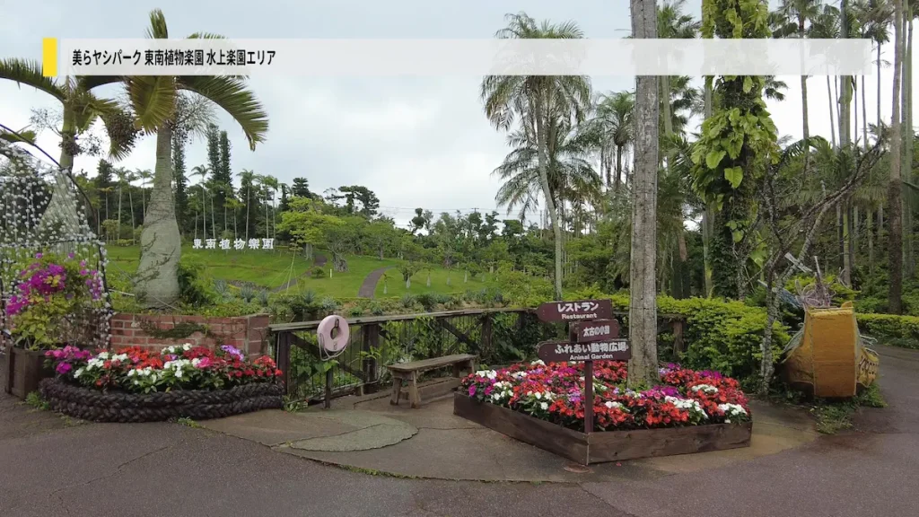 美らヤシパークオキナワ・東南植物楽園